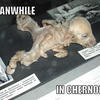 60823 - Popular "Meanwhile In" Funny Meme Pictures - 9