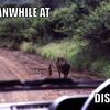 44534 - "Meanwhile In" Funny Meme Pictures