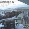 42951 - Popular "Meanwhile In" Funny Meme Pictures - 5