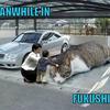 Meanwhile-in-fukushima-9b1a11