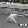 44770 - "Meanwhile In" Funny Meme Pictures