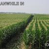 Iowa
