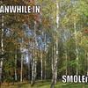 Meanwhile-in-smolensk-a2358c