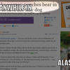 Meanwhile-in-alaska-0e7b46
