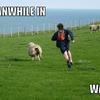 73827 - Popular "Meanwhile In" Funny Meme Pictures - 6