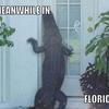 69319 - Popular "Meanwhile In" Funny Meme Pictures - 5