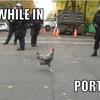 105096 - Meanwhile In