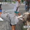 Meanwhile-in-norway-cb93c8