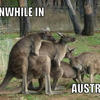 42967 - Meanwhile In